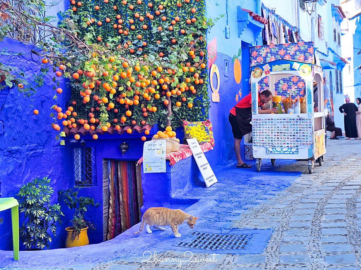 【舍夫沙萬 Chefchaouen】摩洛哥夢幻藍城攻略,藍白山城拍照景點推薦 @兔兒毛毛姊妹花 【舍夫沙萬 Chefchaouen】摩洛哥夢幻藍城攻略,藍白山城拍照景點推薦 @兔兒毛毛姊妹花