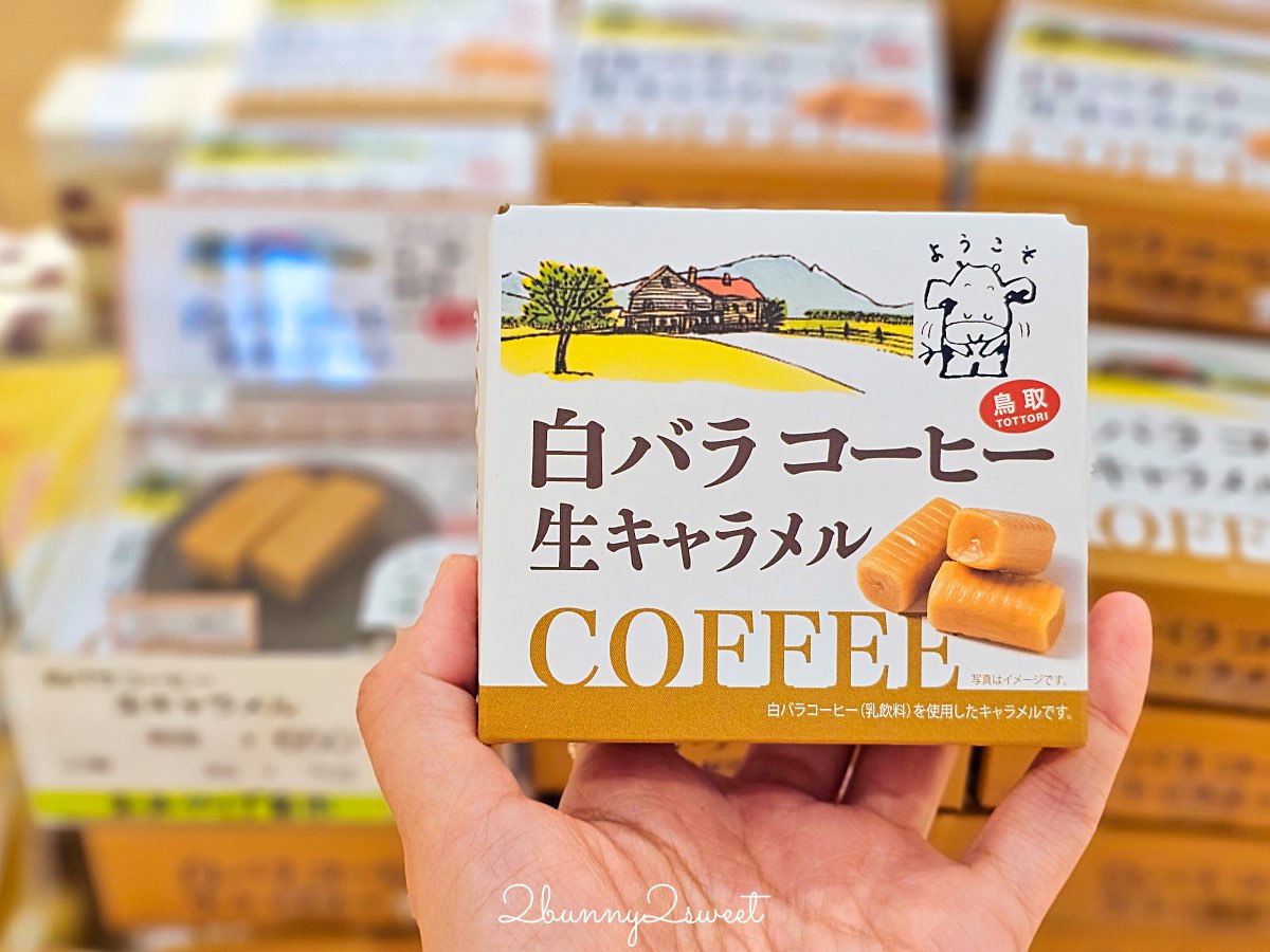 【鳥取伴手禮】鳥取必買名產推薦｜白玫瑰牛乳、鬼太郎、柯南周邊、砂丘咖啡一次買齊 @兔兒毛毛姊妹花
