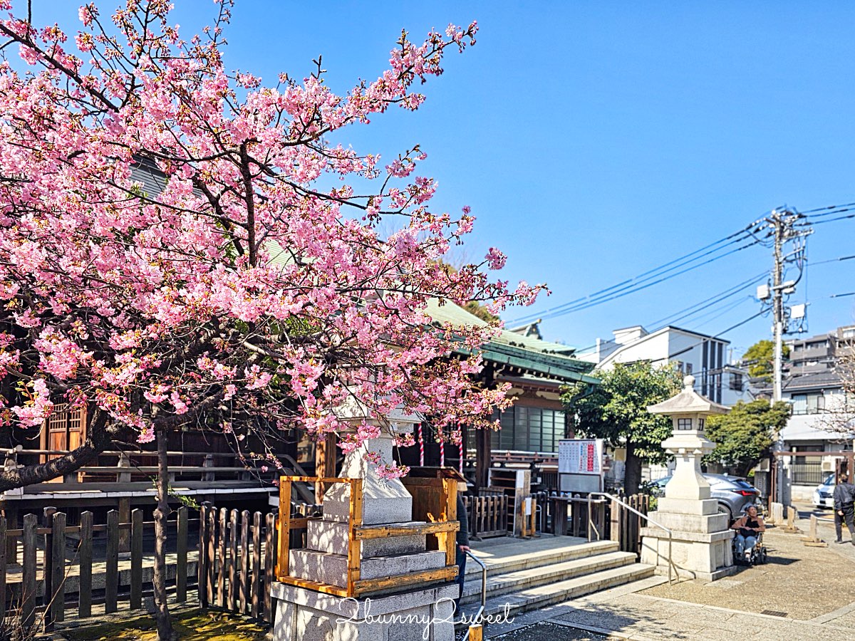 【東京河津櫻懶人包】2月東京賞櫻必去10大景點推薦(市區＋近郊)，東京早櫻地圖攻略 @兔兒毛毛姊妹花