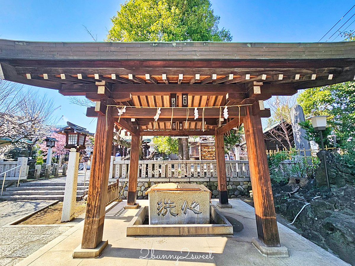 【新宿下落合冰川神社】東京河津櫻景點推薦,不輸櫻神宮的隱藏版秘境櫻花神社 @兔兒毛毛姊妹花 【新宿下落合冰川神社】東京河津櫻景點推薦,不輸櫻神宮的隱藏版秘境櫻花神社 @兔兒毛毛姊妹花