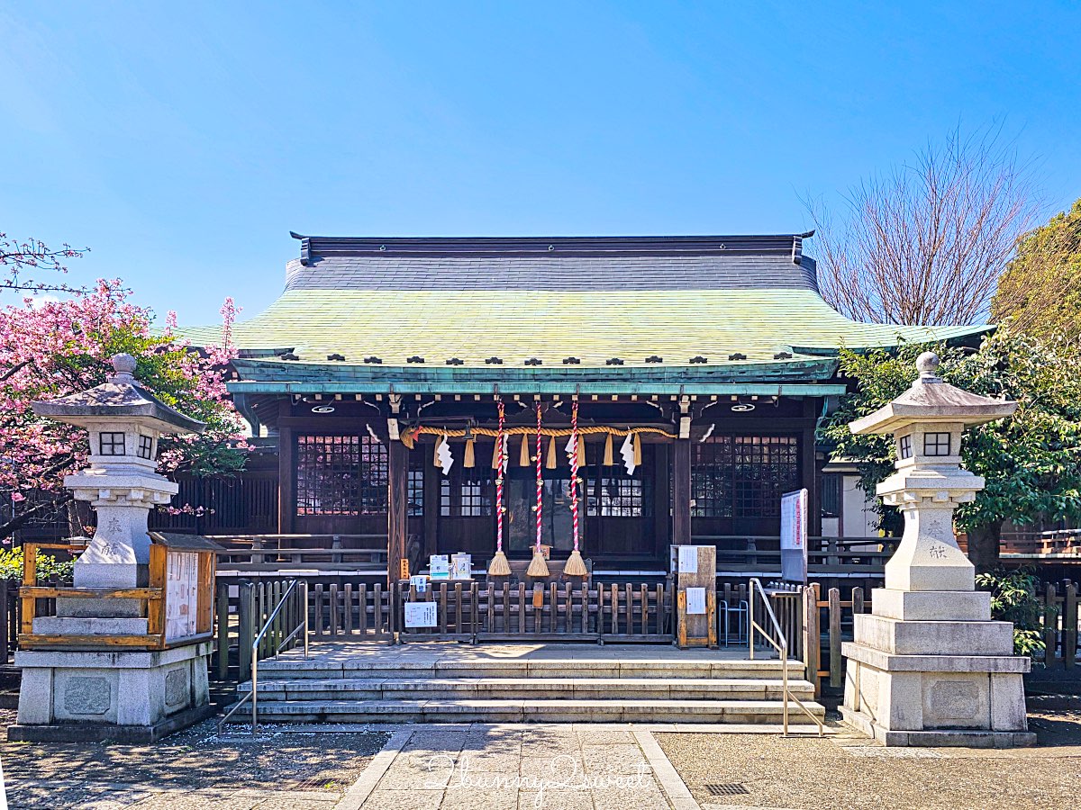 【新宿下落合冰川神社】東京河津櫻景點推薦,不輸櫻神宮的隱藏版秘境櫻花神社 @兔兒毛毛姊妹花 【新宿下落合冰川神社】東京河津櫻景點推薦,不輸櫻神宮的隱藏版秘境櫻花神社 @兔兒毛毛姊妹花
