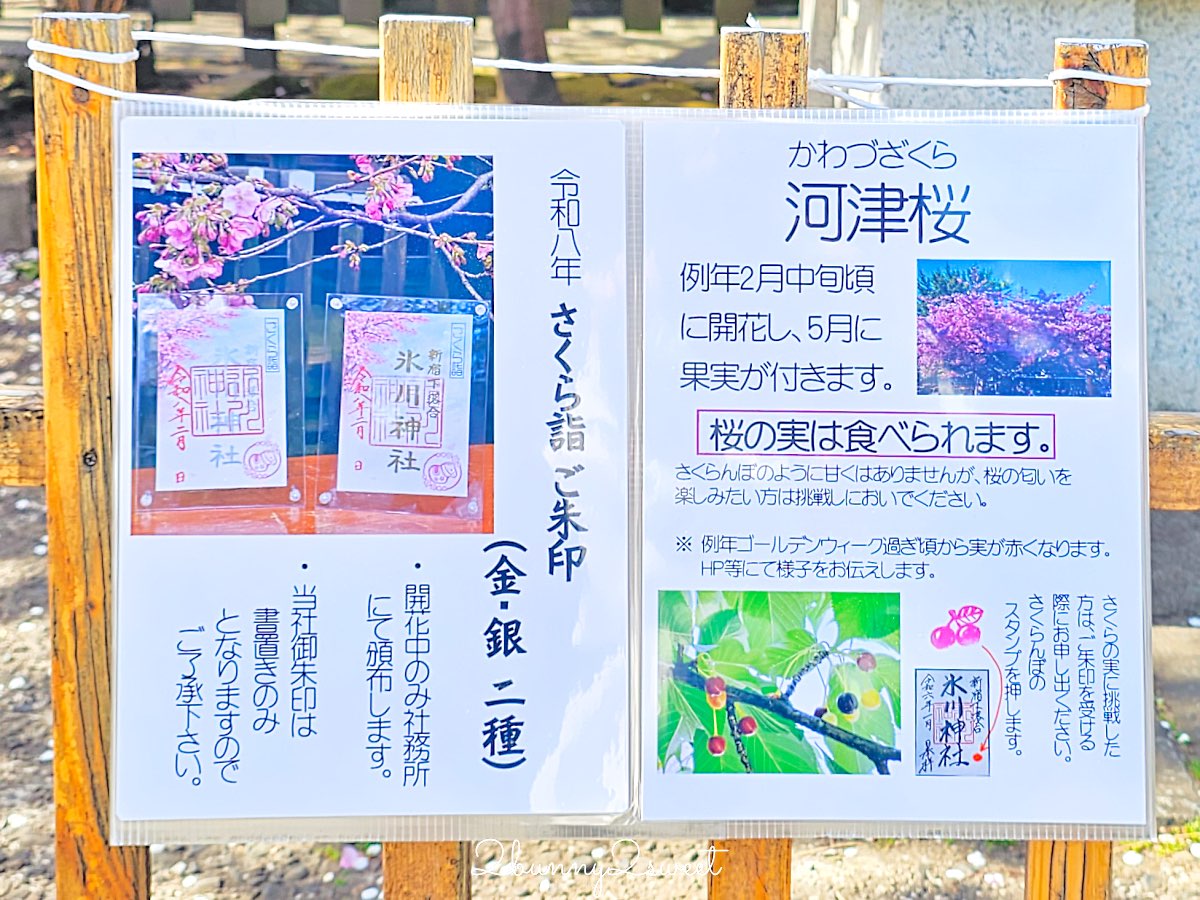 【新宿下落合冰川神社】東京河津櫻景點推薦,不輸櫻神宮的隱藏版秘境櫻花神社 @兔兒毛毛姊妹花 【新宿下落合冰川神社】東京河津櫻景點推薦,不輸櫻神宮的隱藏版秘境櫻花神社 @兔兒毛毛姊妹花