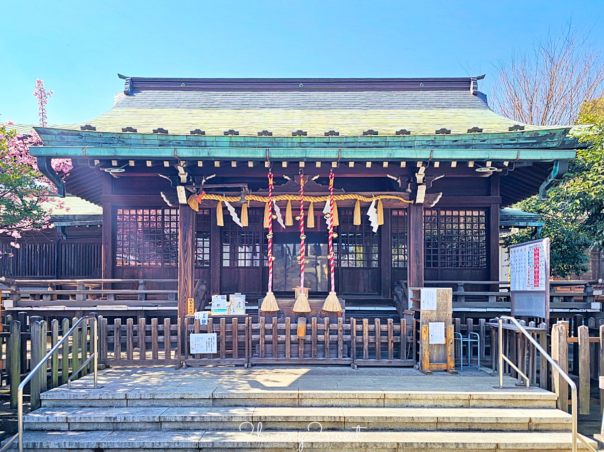 【新宿下落合冰川神社】東京河津櫻景點推薦,不輸櫻神宮的隱藏版秘境櫻花神社 @兔兒毛毛姊妹花 【新宿下落合冰川神社】東京河津櫻景點推薦,不輸櫻神宮的隱藏版秘境櫻花神社 @兔兒毛毛姊妹花