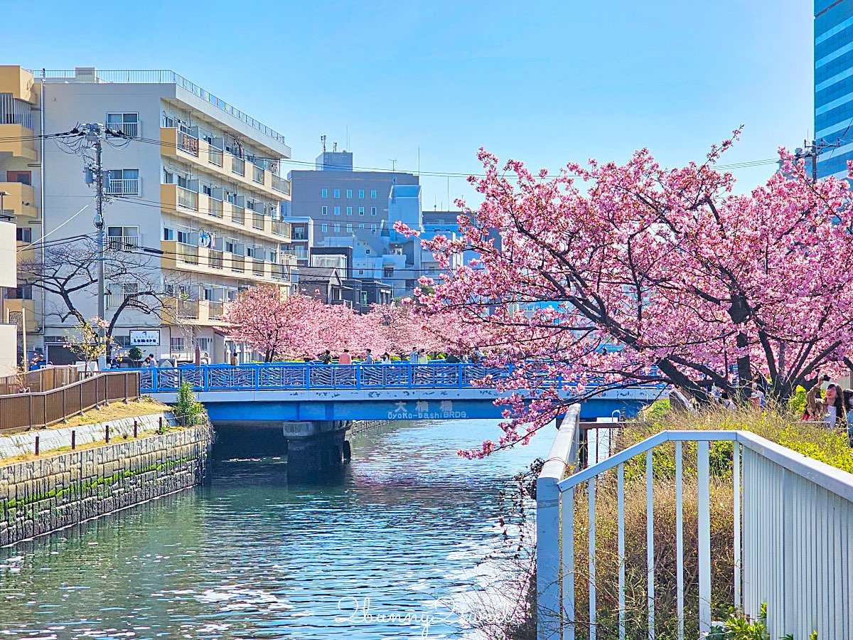 【東京河津櫻懶人包】2月東京賞櫻必去10大景點推薦(市區＋近郊)，東京早櫻地圖攻略 @兔兒毛毛姊妹花