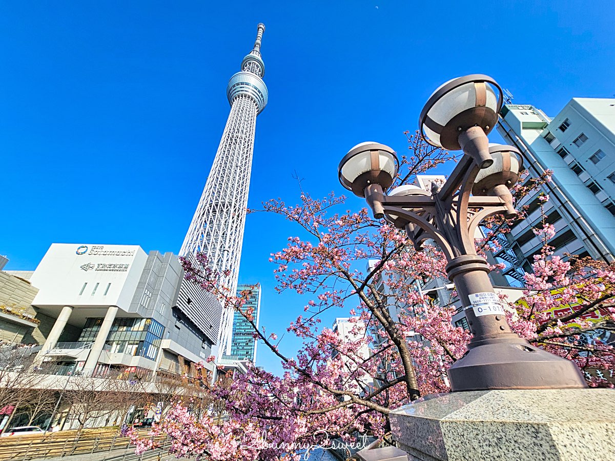 【晴空塔東武橋河津櫻】東京最夢幻早櫻拍攝點，二月櫻花＋Skytree同框經典畫面 @兔兒毛毛姊妹花