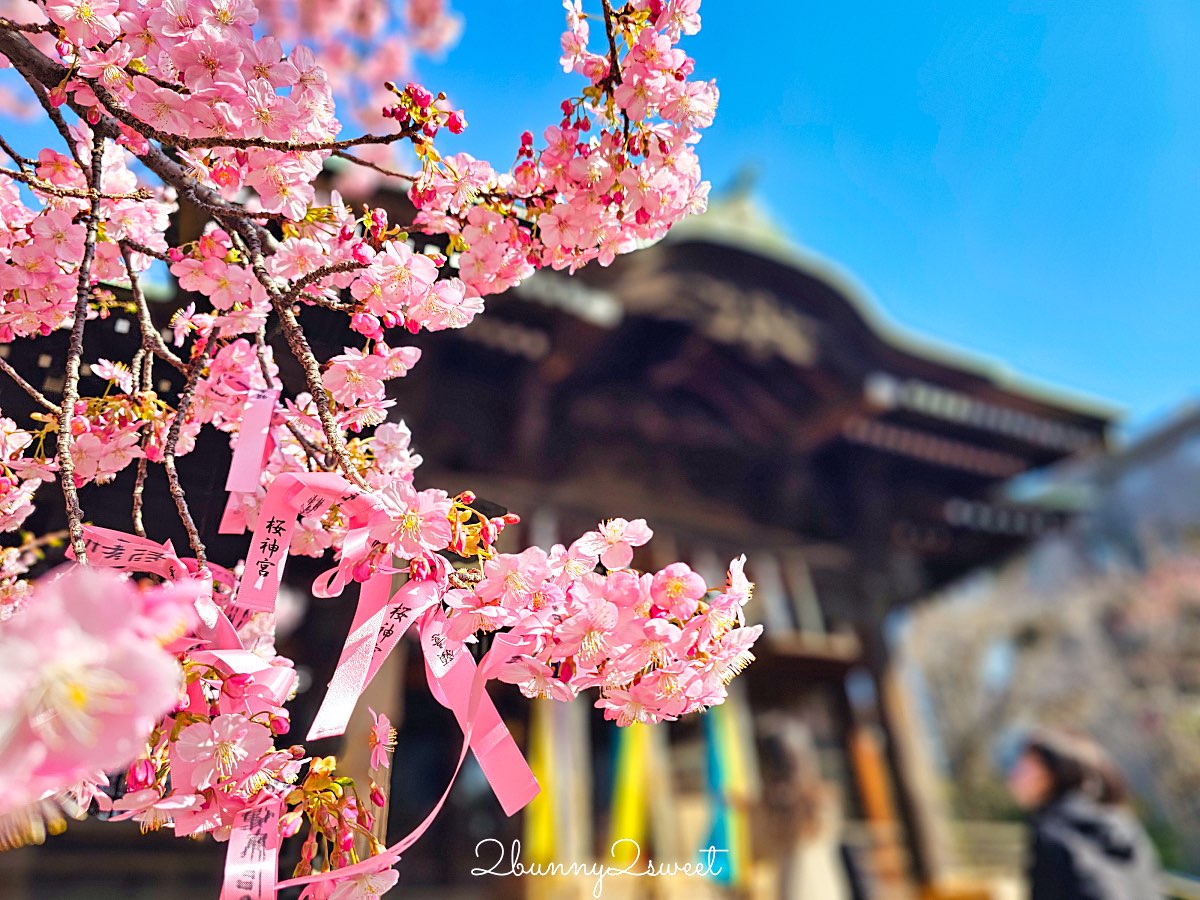 【東京河津櫻懶人包】2月東京賞櫻必去10大景點推薦(市區＋近郊)，東京早櫻地圖攻略 @兔兒毛毛姊妹花