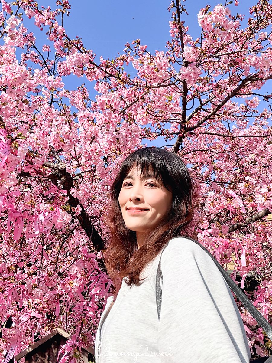 【櫻神宮】東京最夢幻櫻花神社!河津櫻、粉紅祈願緞帶、必收蕾絲御守的東京早櫻景點 @兔兒毛毛姊妹花 【櫻神宮】東京最夢幻櫻花神社!河津櫻、粉紅祈願緞帶、必收蕾絲御守的東京早櫻景點 @兔兒毛毛姊妹花