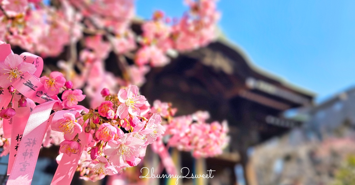 【櫻神宮】東京最夢幻櫻花神社!河津櫻、粉紅祈願緞帶、必收蕾絲御守的東京早櫻景點 @兔兒毛毛姊妹花 【櫻神宮】東京最夢幻櫻花神社!河津櫻、粉紅祈願緞帶、必收蕾絲御守的東京早櫻景點 @兔兒毛毛姊妹花