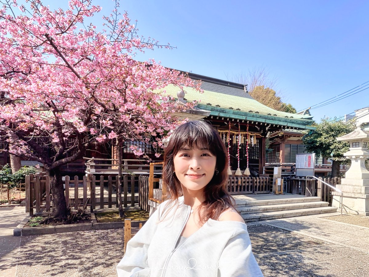 【新宿下落合冰川神社】東京河津櫻景點推薦,不輸櫻神宮的隱藏版秘境櫻花神社 @兔兒毛毛姊妹花 【新宿下落合冰川神社】東京河津櫻景點推薦,不輸櫻神宮的隱藏版秘境櫻花神社 @兔兒毛毛姊妹花