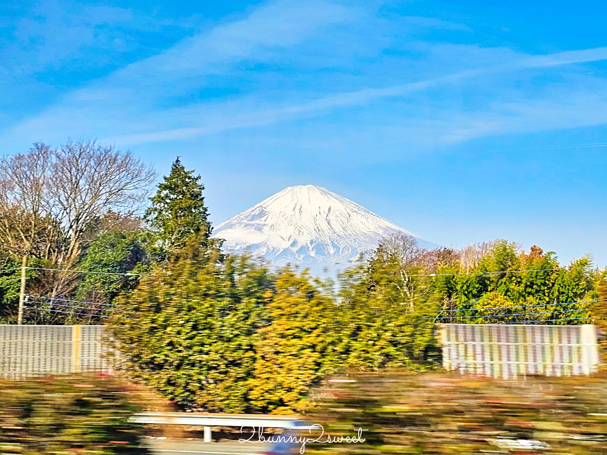 【伊豆水果公園】自採草莓吃到飽、富士山景餐廳與伴手禮商店完整攻略 @兔兒毛毛姊妹花
