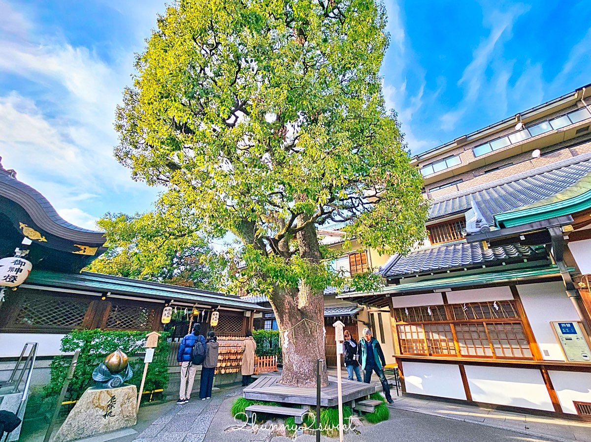 【京都晴明神社一条戻橋】陰陽師神社、河津櫻早櫻景點、五芒星御守與櫻花御守一次看 @兔兒毛毛姊妹花