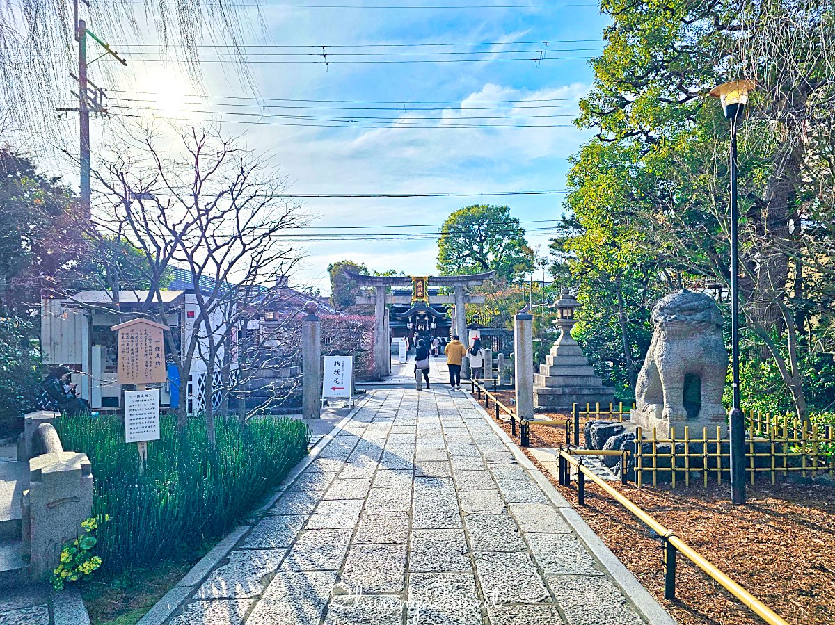 【京都晴明神社一条戻橋】陰陽師神社、河津櫻早櫻景點、五芒星御守與櫻花御守一次看 @兔兒毛毛姊妹花