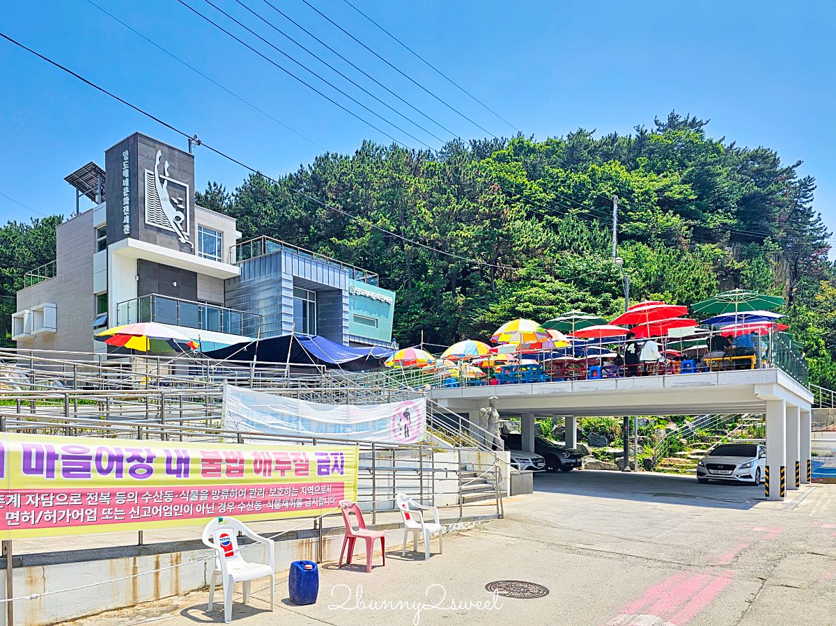 釜山影島海女文化展館｜在影島海女村海景第一排大啖現撈海膽飯捲、鮮味海鮮拉麵 @兔兒毛毛姊妹花