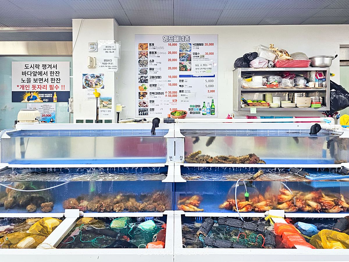釜山影島海女文化展館｜在影島海女村海景第一排大啖現撈海膽飯捲、鮮味海鮮拉麵 @兔兒毛毛姊妹花