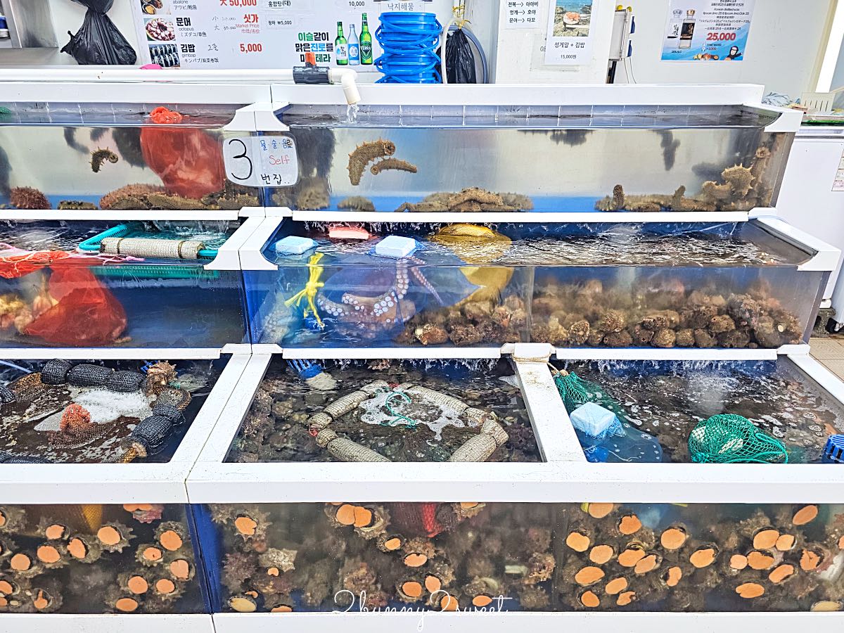 釜山影島海女文化展館｜在影島海女村海景第一排大啖現撈海膽飯捲、鮮味海鮮拉麵 @兔兒毛毛姊妹花
