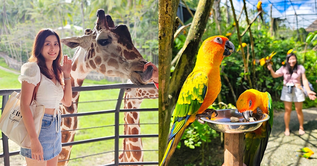 【宿霧野生動物園】Cebu Safari and Adventure Park攻略｜菲律賓最大動物園、門票交通、必玩設施 @兔兒毛毛姊妹花