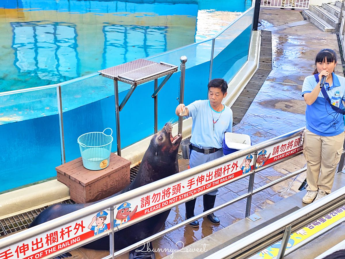 【遠雄海洋公園美人魚夜未眠】花蓮夜宿海洋公園攻略|夜間導覽、人魚彩妝、夢幻人魚睡眠區兩天一夜體驗 @兔兒毛毛姊妹花 【遠雄海洋公園美人魚夜未眠】花蓮夜宿海洋公園攻略|夜間導覽、人魚彩妝、夢幻人魚睡眠區兩天一夜體驗 @兔兒毛毛姊妹花