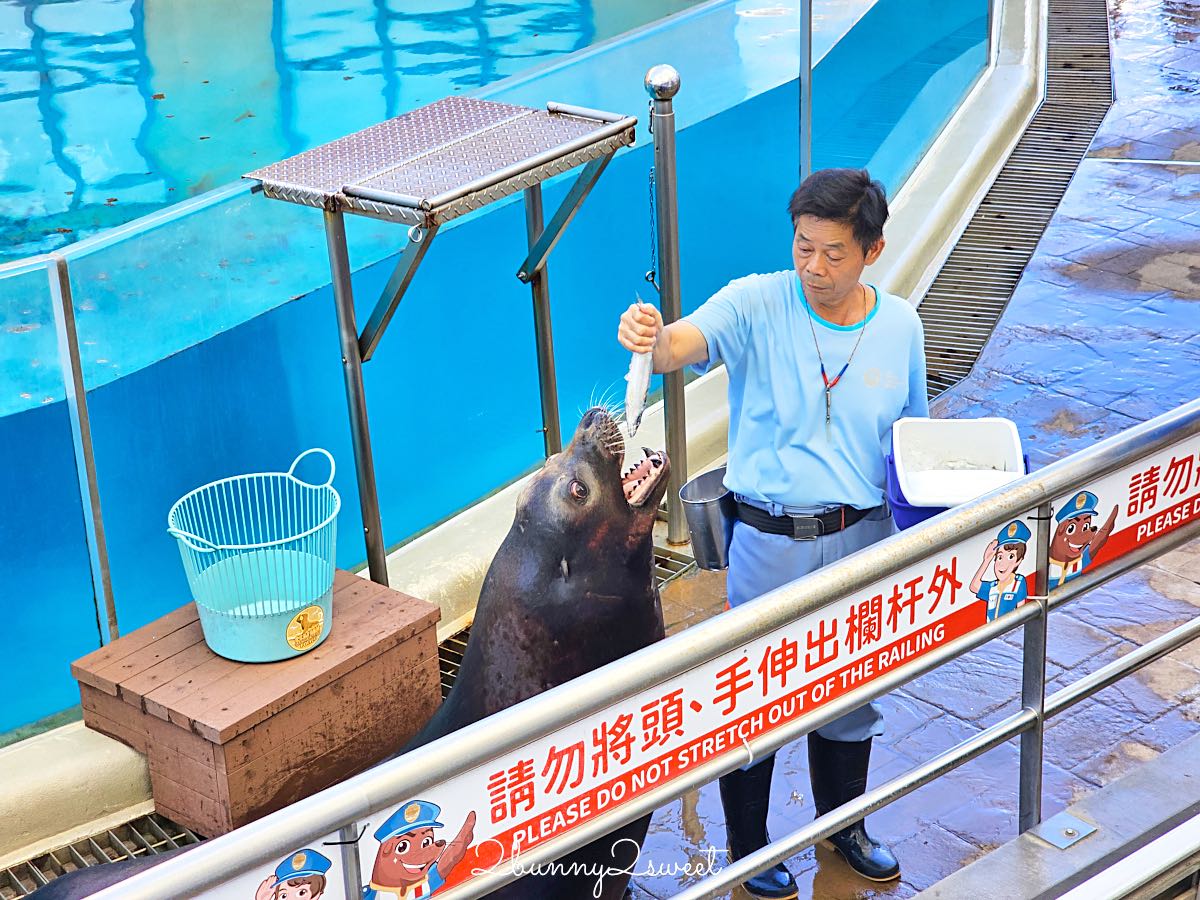 【遠雄海洋公園美人魚夜未眠】花蓮夜宿海洋公園攻略|夜間導覽、人魚彩妝、夢幻人魚睡眠區兩天一夜體驗 @兔兒毛毛姊妹花 【遠雄海洋公園美人魚夜未眠】花蓮夜宿海洋公園攻略|夜間導覽、人魚彩妝、夢幻人魚睡眠區兩天一夜體驗 @兔兒毛毛姊妹花