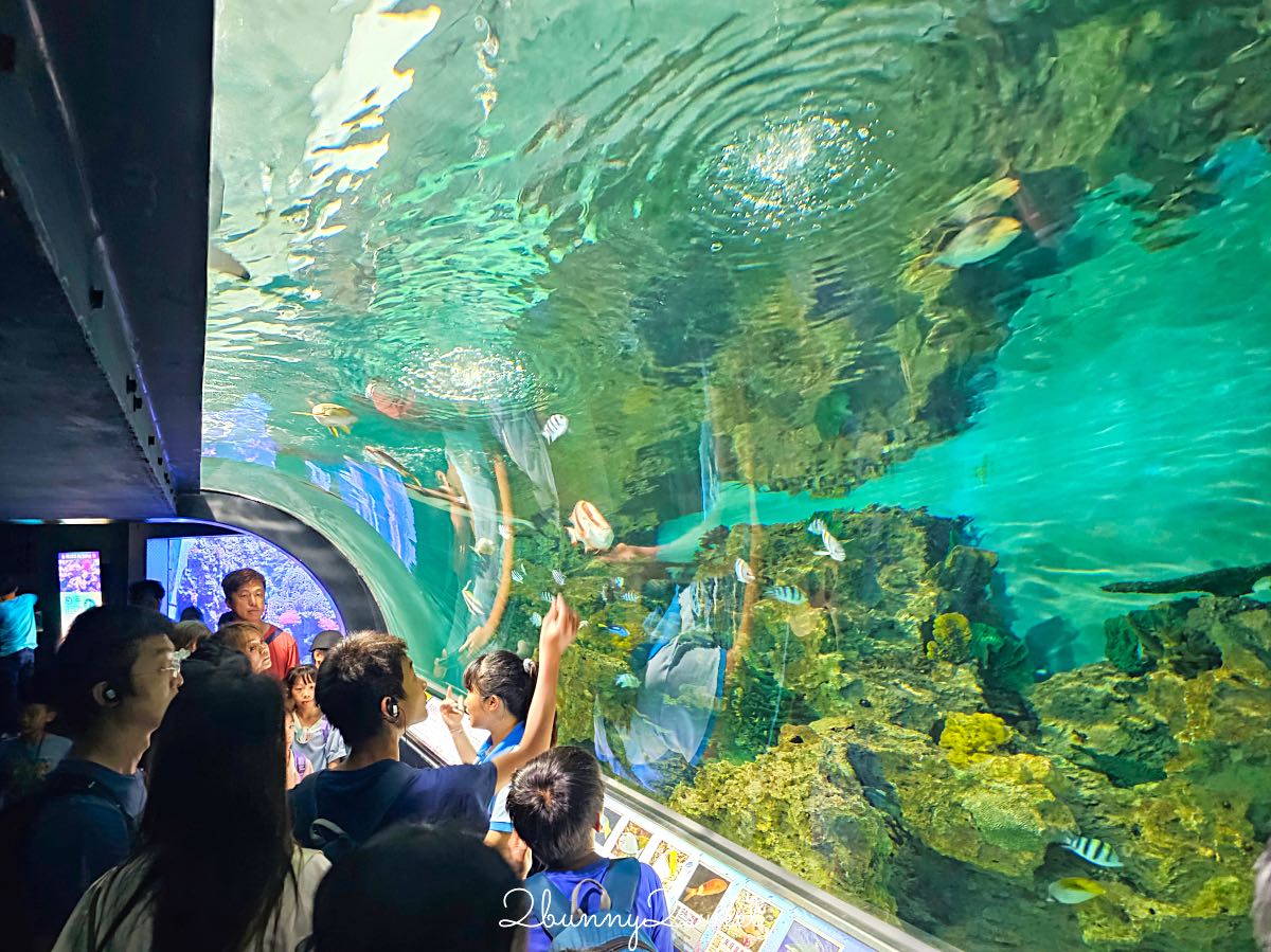 【遠雄海洋公園美人魚夜未眠】花蓮夜宿海洋公園攻略|夜間導覽、人魚彩妝、夢幻人魚睡眠區兩天一夜體驗 @兔兒毛毛姊妹花 【遠雄海洋公園美人魚夜未眠】花蓮夜宿海洋公園攻略|夜間導覽、人魚彩妝、夢幻人魚睡眠區兩天一夜體驗 @兔兒毛毛姊妹花