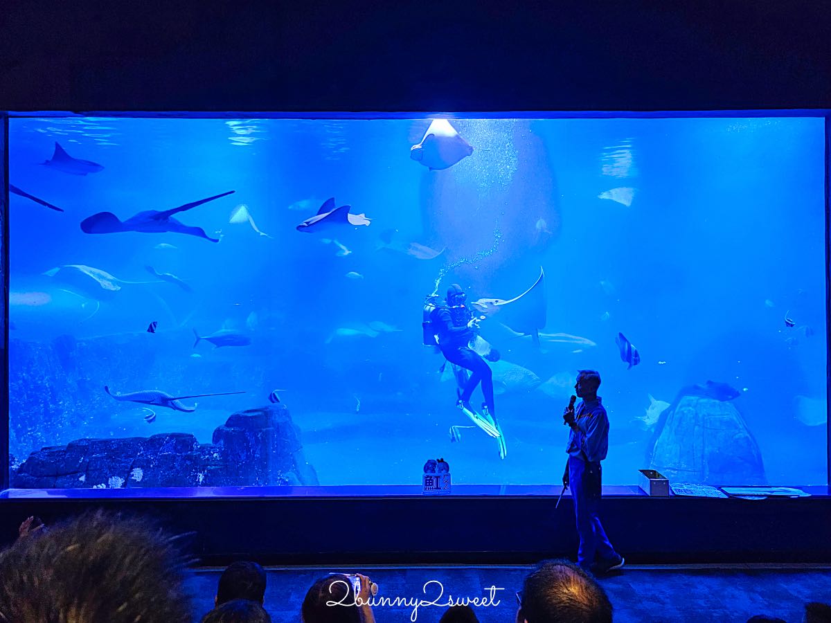 【遠雄海洋公園美人魚夜未眠】花蓮夜宿海洋公園攻略|夜間導覽、人魚彩妝、夢幻人魚睡眠區兩天一夜體驗 @兔兒毛毛姊妹花 【遠雄海洋公園美人魚夜未眠】花蓮夜宿海洋公園攻略|夜間導覽、人魚彩妝、夢幻人魚睡眠區兩天一夜體驗 @兔兒毛毛姊妹花