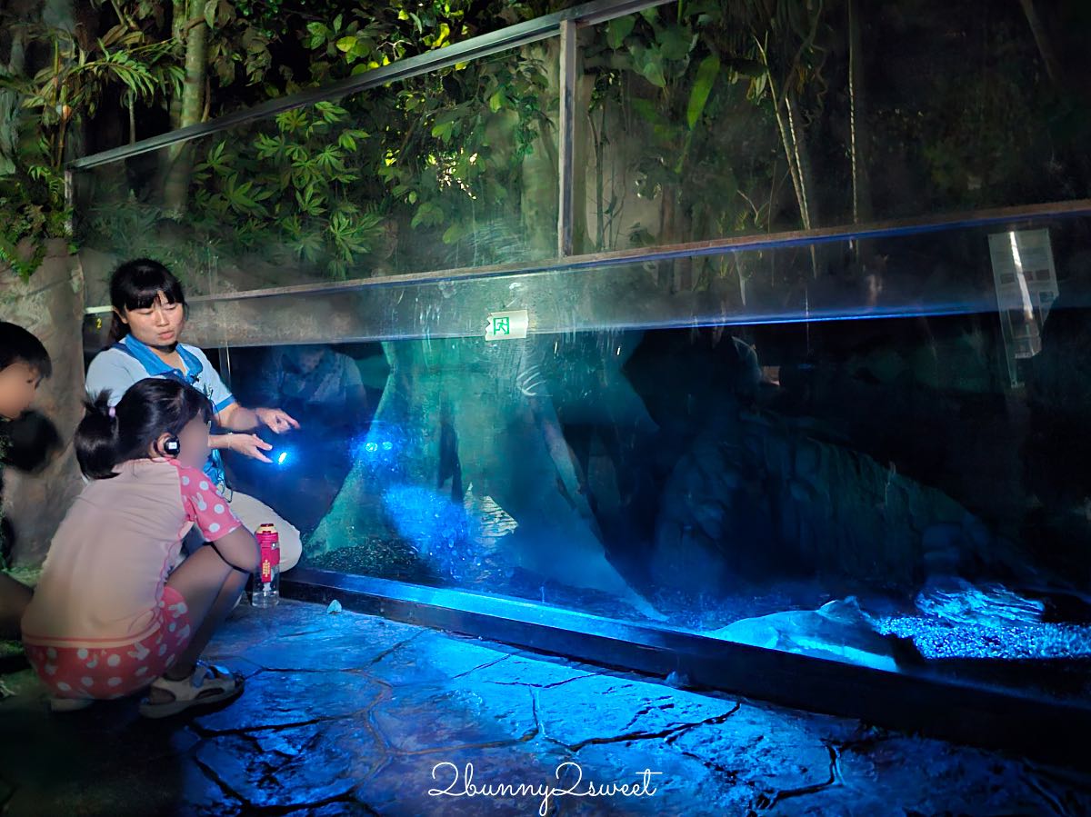 【遠雄海洋公園美人魚夜未眠】花蓮夜宿海洋公園攻略|夜間導覽、人魚彩妝、夢幻人魚睡眠區兩天一夜體驗 @兔兒毛毛姊妹花 【遠雄海洋公園美人魚夜未眠】花蓮夜宿海洋公園攻略|夜間導覽、人魚彩妝、夢幻人魚睡眠區兩天一夜體驗 @兔兒毛毛姊妹花