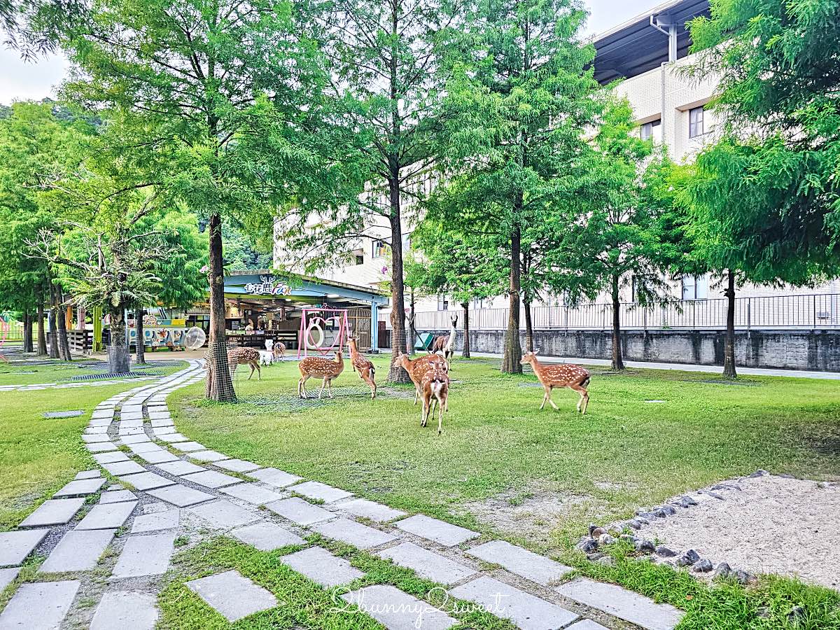 【宜蘭心花鹿Fun農場】梅花湖親子景點，餵水豚梅花鹿、門票及雨天遊玩攻略 @兔兒毛毛姊妹花