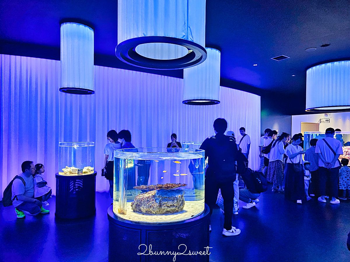 【水生美世界 NIFREL】大阪室內景點 EXPOCITY 必玩！活生生的博物館，結合水族館、動物園、美術館完整攻略 @兔兒毛毛姊妹花