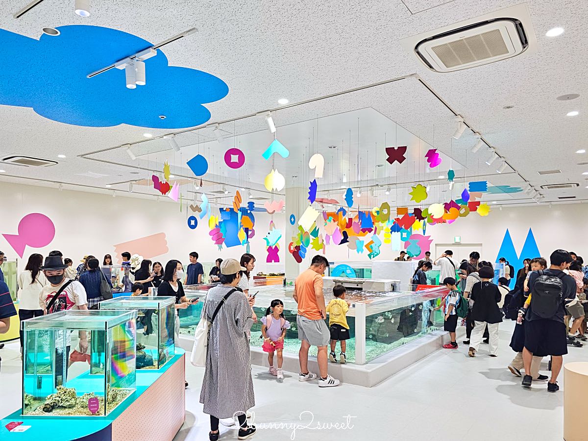 【水生美世界 NIFREL】大阪室內景點 EXPOCITY 必玩！活生生的博物館，結合水族館、動物園、美術館完整攻略 @兔兒毛毛姊妹花