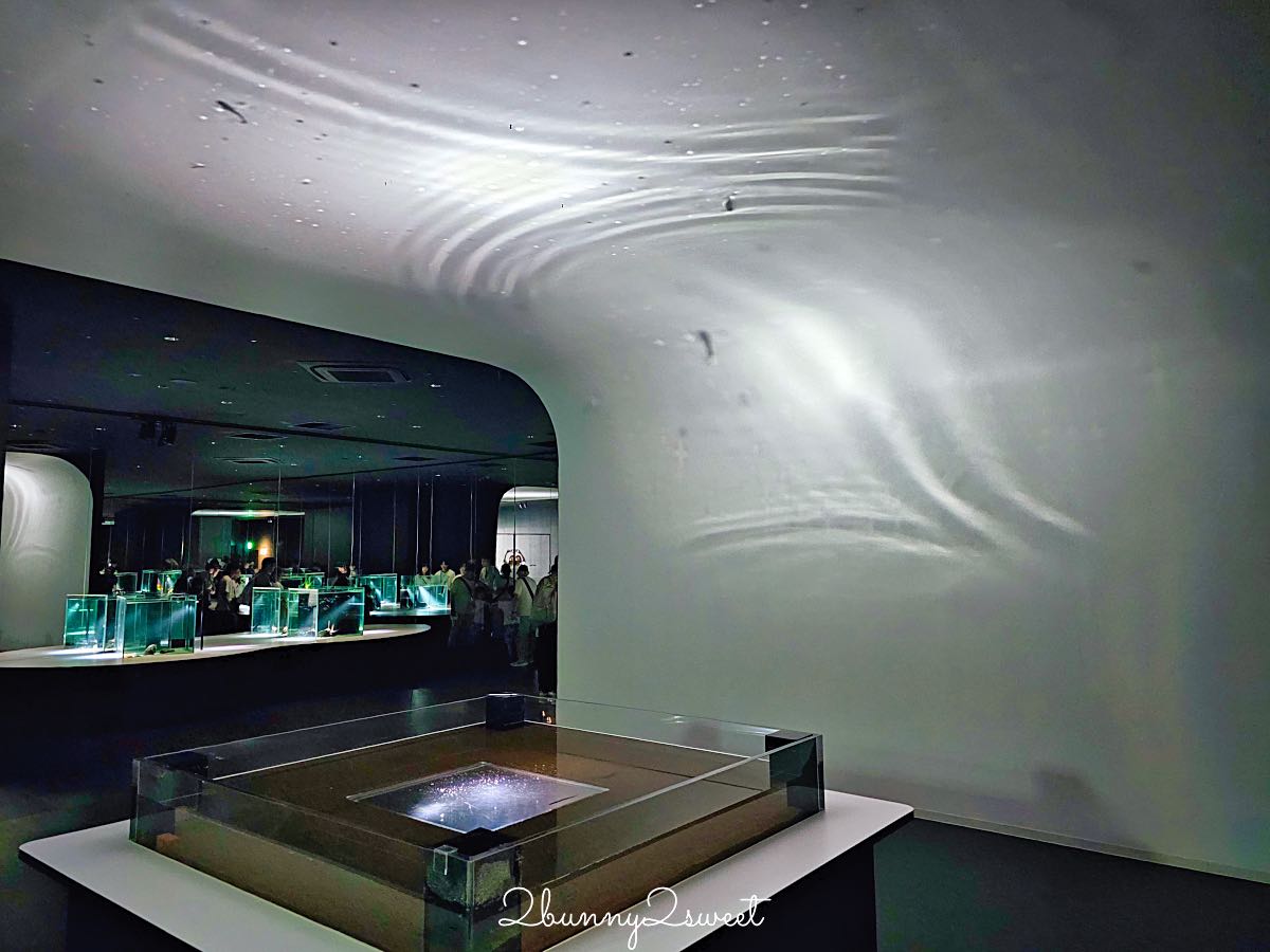 【水生美世界 NIFREL】大阪室內景點 EXPOCITY 必玩！活生生的博物館，結合水族館、動物園、美術館完整攻略 @兔兒毛毛姊妹花