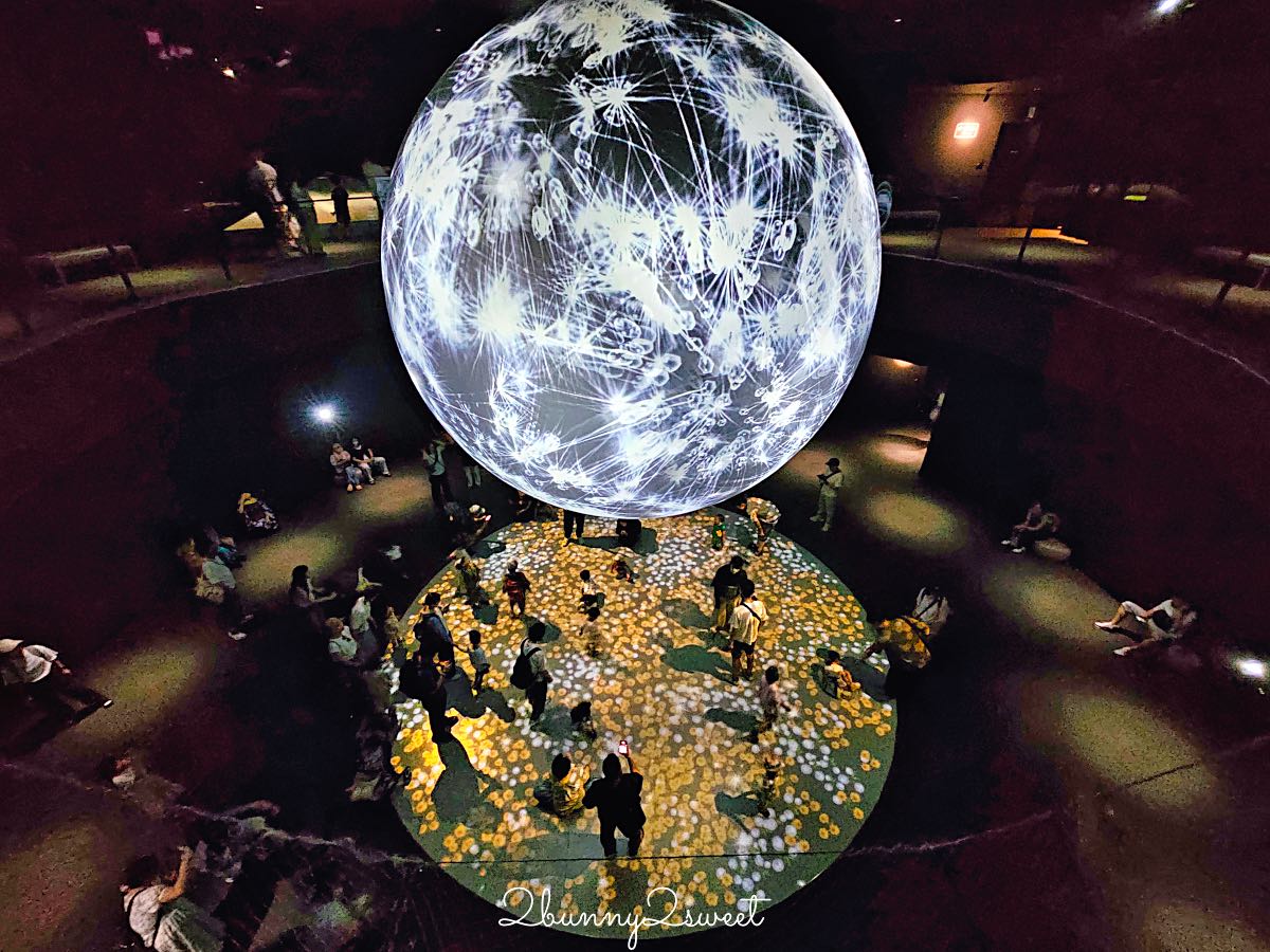 【水生美世界 NIFREL】大阪室內景點 EXPOCITY 必玩！活生生的博物館，結合水族館、動物園、美術館完整攻略 @兔兒毛毛姊妹花