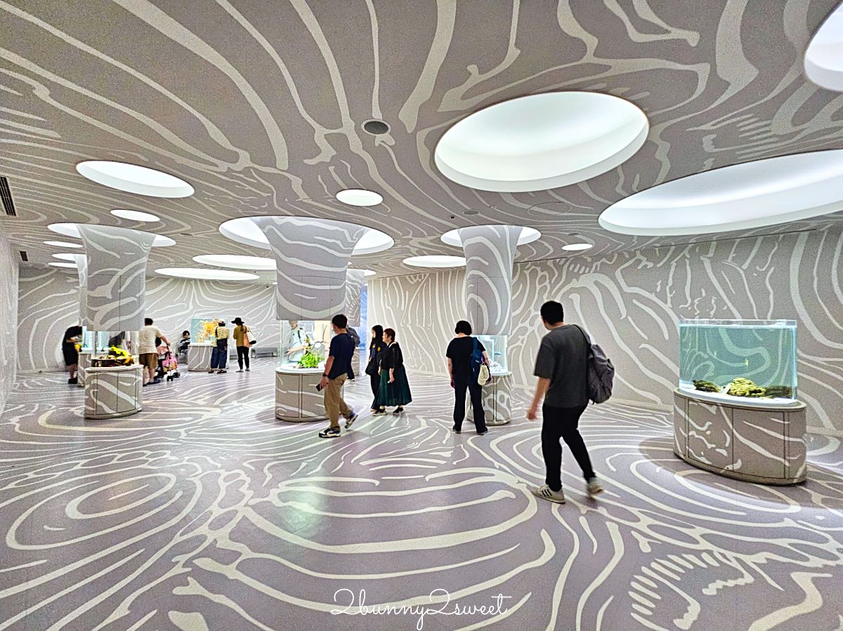 【水生美世界 NIFREL】大阪室內景點 EXPOCITY 必玩！活生生的博物館，結合水族館、動物園、美術館完整攻略 @兔兒毛毛姊妹花