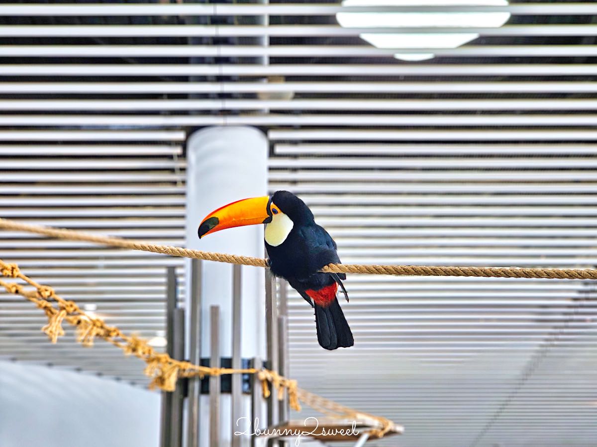 【水生美世界 NIFREL】大阪室內景點 EXPOCITY 必玩！活生生的博物館，結合水族館、動物園、美術館完整攻略 @兔兒毛毛姊妹花