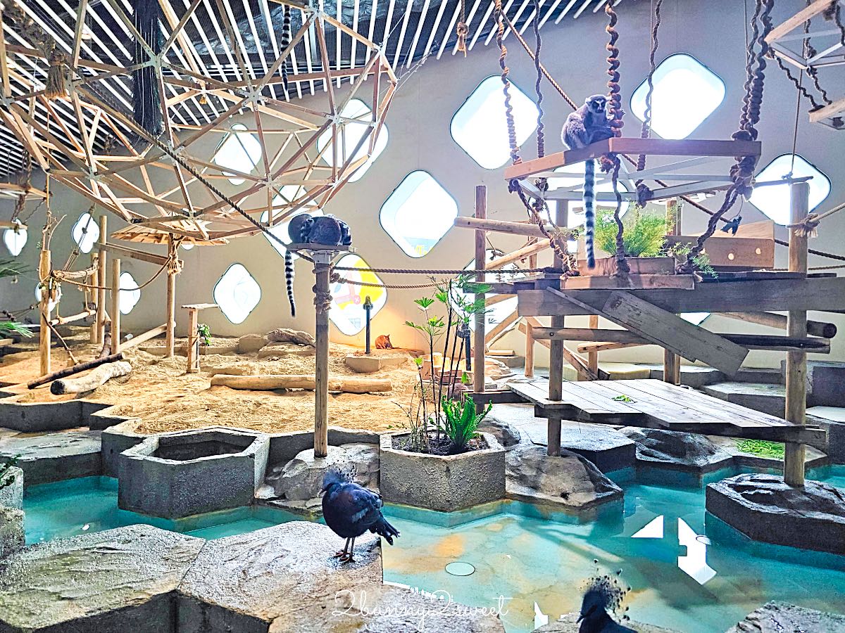 【水生美世界 NIFREL】大阪室內景點 EXPOCITY 必玩！活生生的博物館，結合水族館、動物園、美術館完整攻略 @兔兒毛毛姊妹花