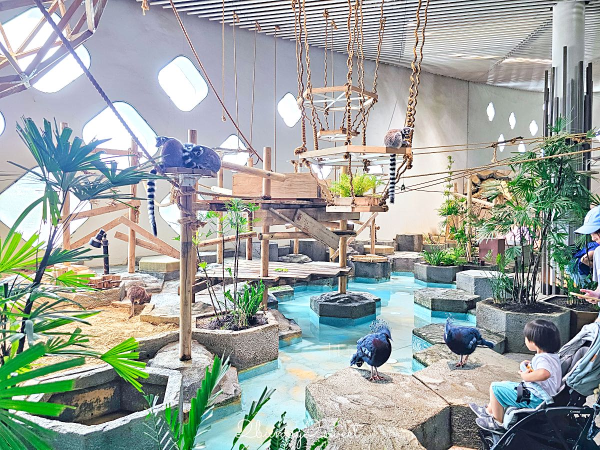 【水生美世界 NIFREL】大阪室內景點 EXPOCITY 必玩！活生生的博物館，結合水族館、動物園、美術館完整攻略 @兔兒毛毛姊妹花