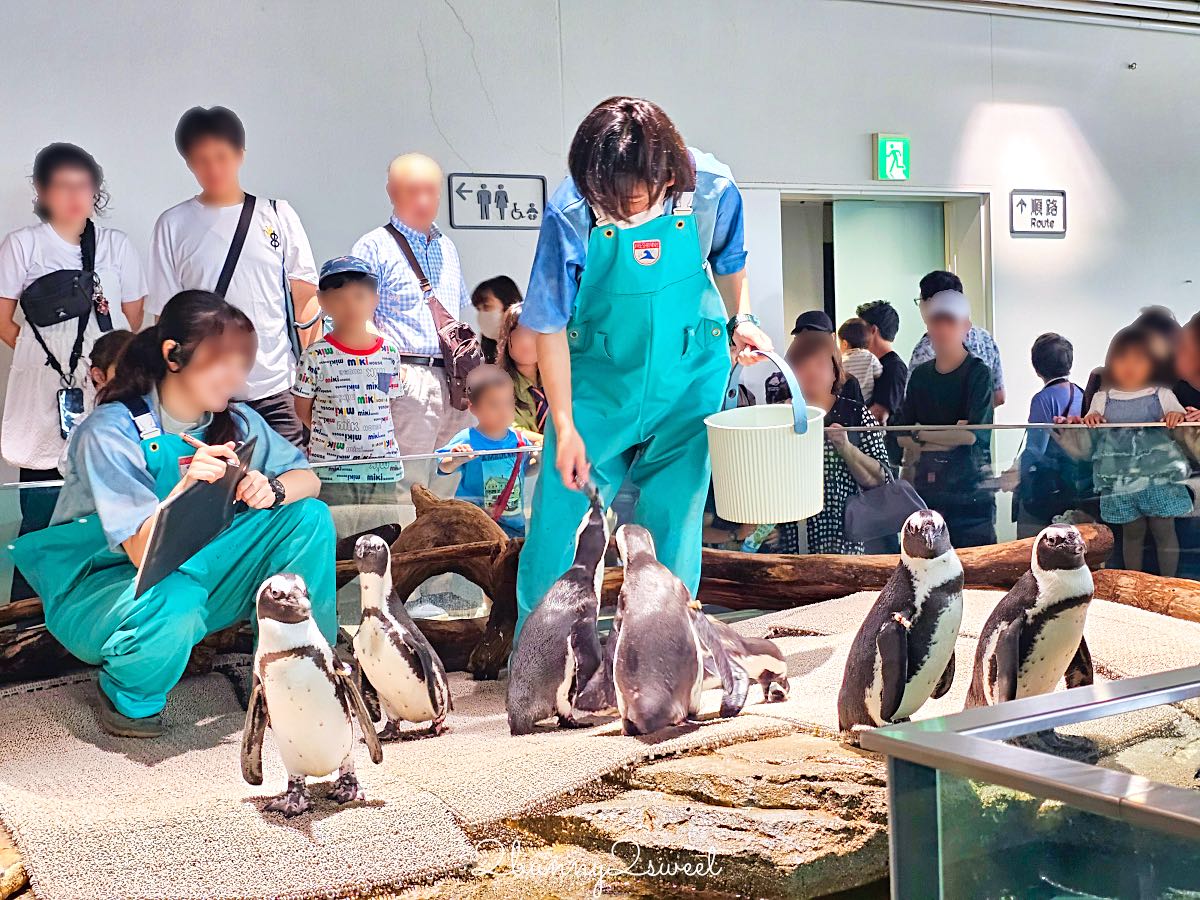 【水生美世界 NIFREL】大阪室內景點 EXPOCITY 必玩！活生生的博物館，結合水族館、動物園、美術館完整攻略 @兔兒毛毛姊妹花