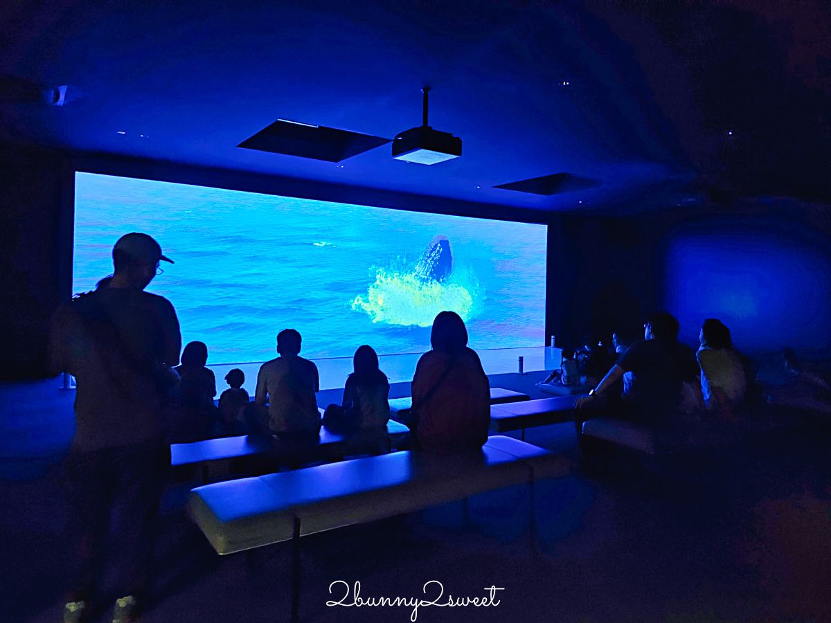 【水生美世界 NIFREL】大阪室內景點 EXPOCITY 必玩！活生生的博物館，結合水族館、動物園、美術館完整攻略 @兔兒毛毛姊妹花