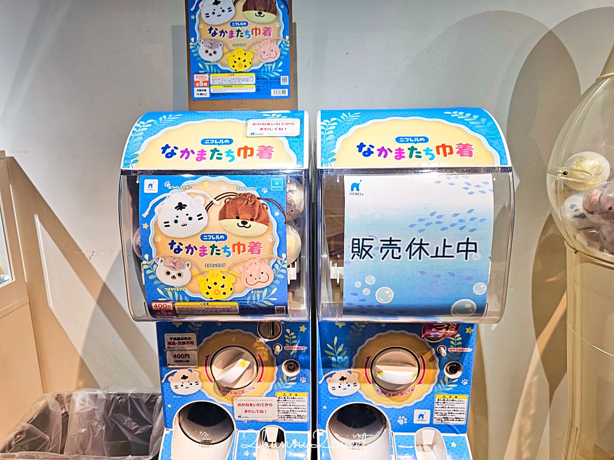 【水生美世界 NIFREL】大阪室內景點 EXPOCITY 必玩！活生生的博物館，結合水族館、動物園、美術館完整攻略 @兔兒毛毛姊妹花