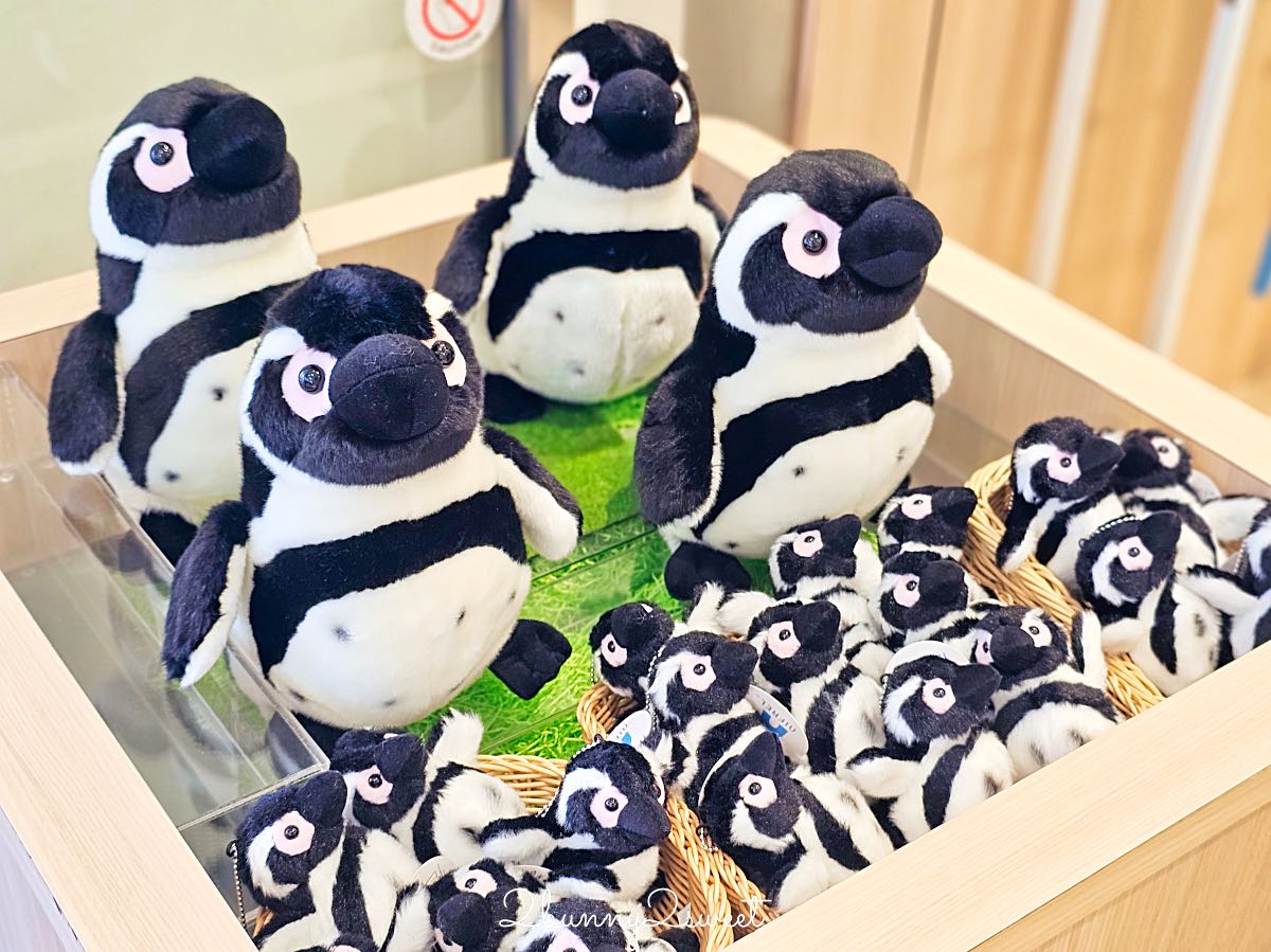 【水生美世界 NIFREL】大阪室內景點 EXPOCITY 必玩！活生生的博物館，結合水族館、動物園、美術館完整攻略 @兔兒毛毛姊妹花