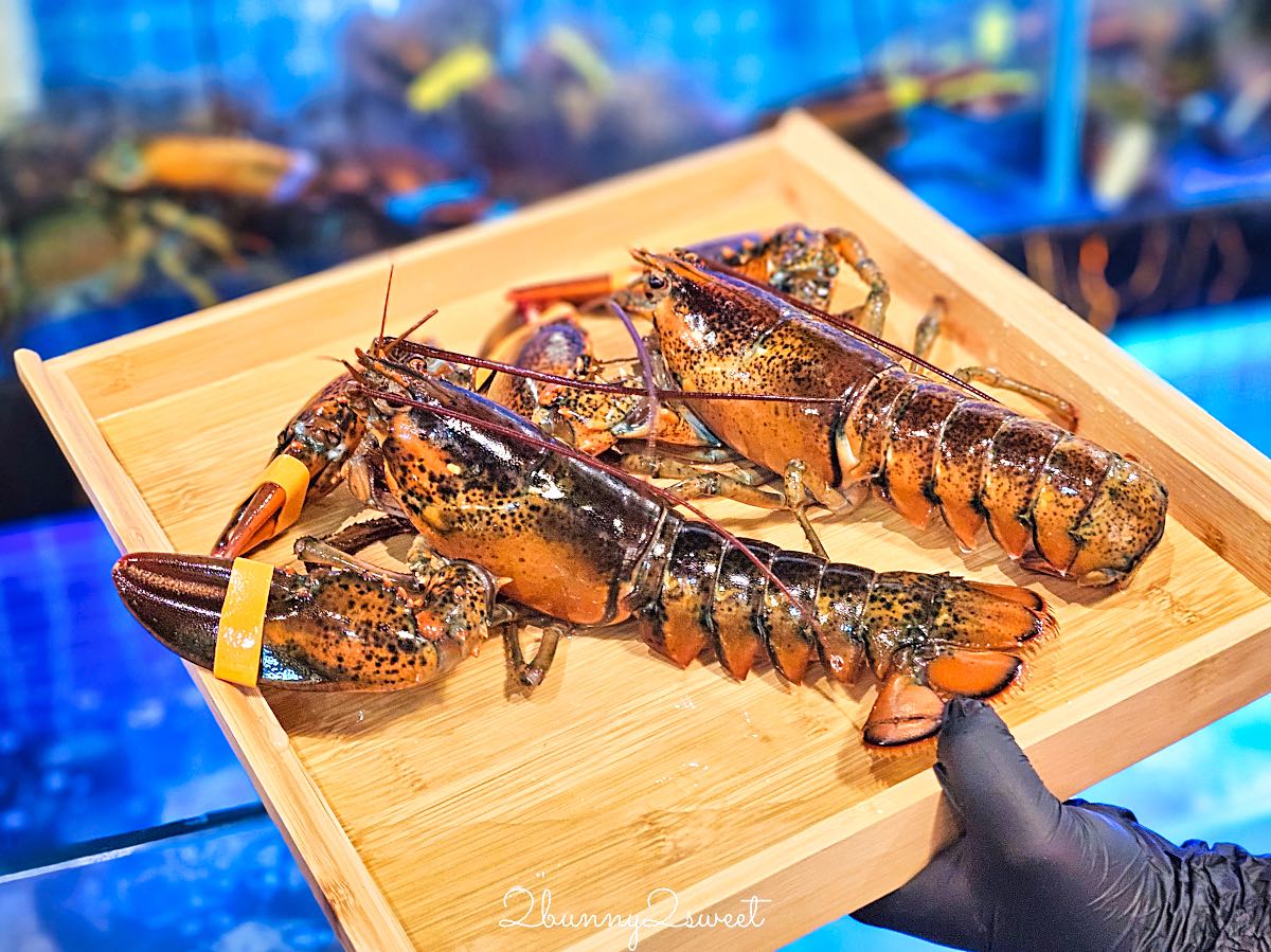 【星曜雞湯】中山站美食推薦！台北雞湯火鍋必吃鮑魚金湯，父親節活動、龍蝦買一送一優惠 @兔兒毛毛姊妹花