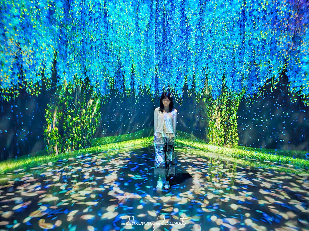 【PADO Media Art Space】芭達雅沉浸式光影藝術館,12大展區、門票交通、親子雨天室內景點 @兔兒毛毛姊妹花 【PADO Media Art Space】芭達雅沉浸式光影藝術館,12大展區、門票交通、親子雨天室內景點 @兔兒毛毛姊妹花