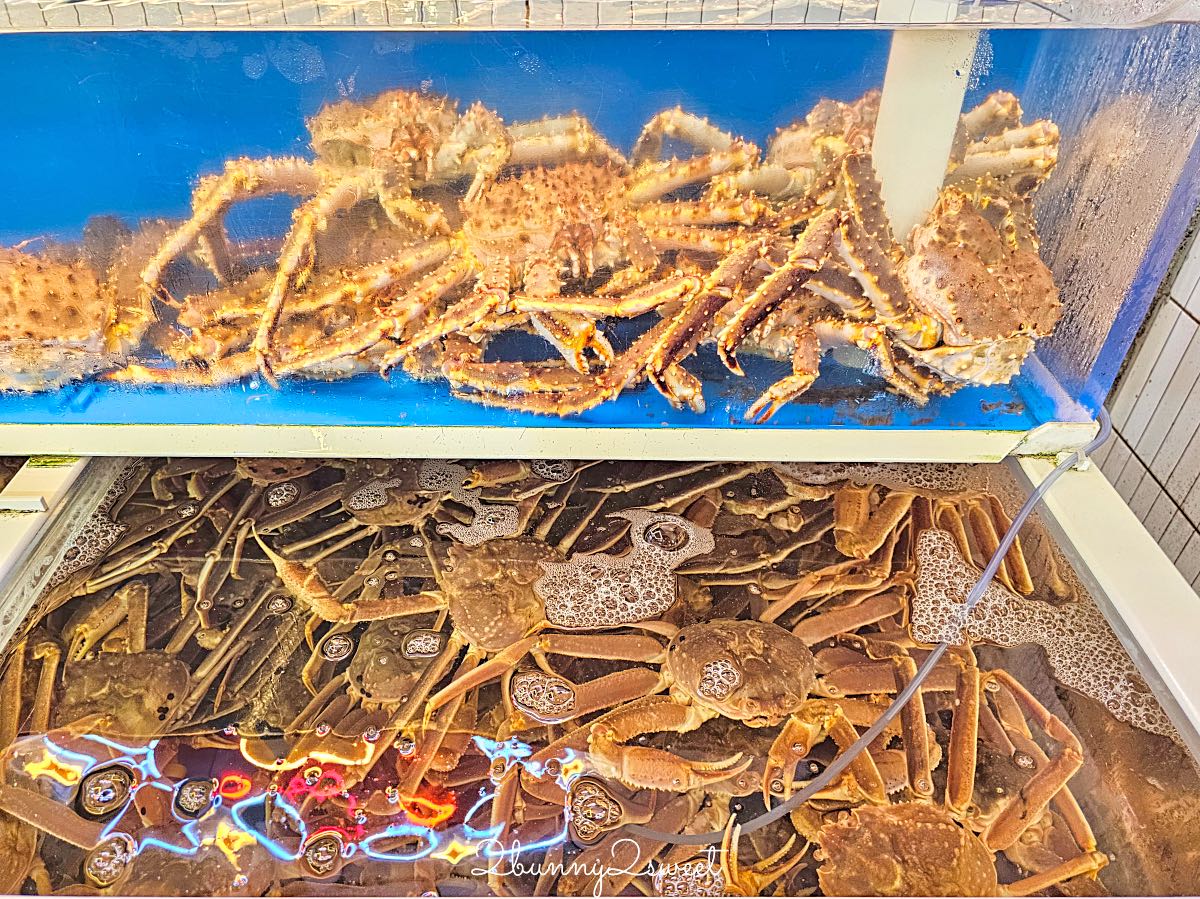 【機張名品螃蟹】釜山機張市場螃蟹推薦！活體帝王蟹現撈秤重，中文溝通、自助吧吃到飽 @兔兒毛毛姊妹花