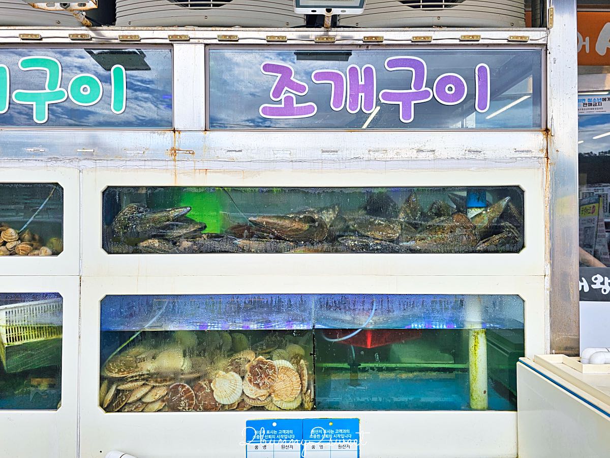 【海底貝殼王國】釜山松島烤貝推薦!海上纜車旁人氣烤貝餐廳,干貝、扇貝、鮑魚海鮮一次吃 @兔兒毛毛姊妹花 【海底貝殼王國】釜山松島烤貝推薦!海上纜車旁人氣烤貝餐廳,干貝、扇貝、鮑魚海鮮一次吃 @兔兒毛毛姊妹花