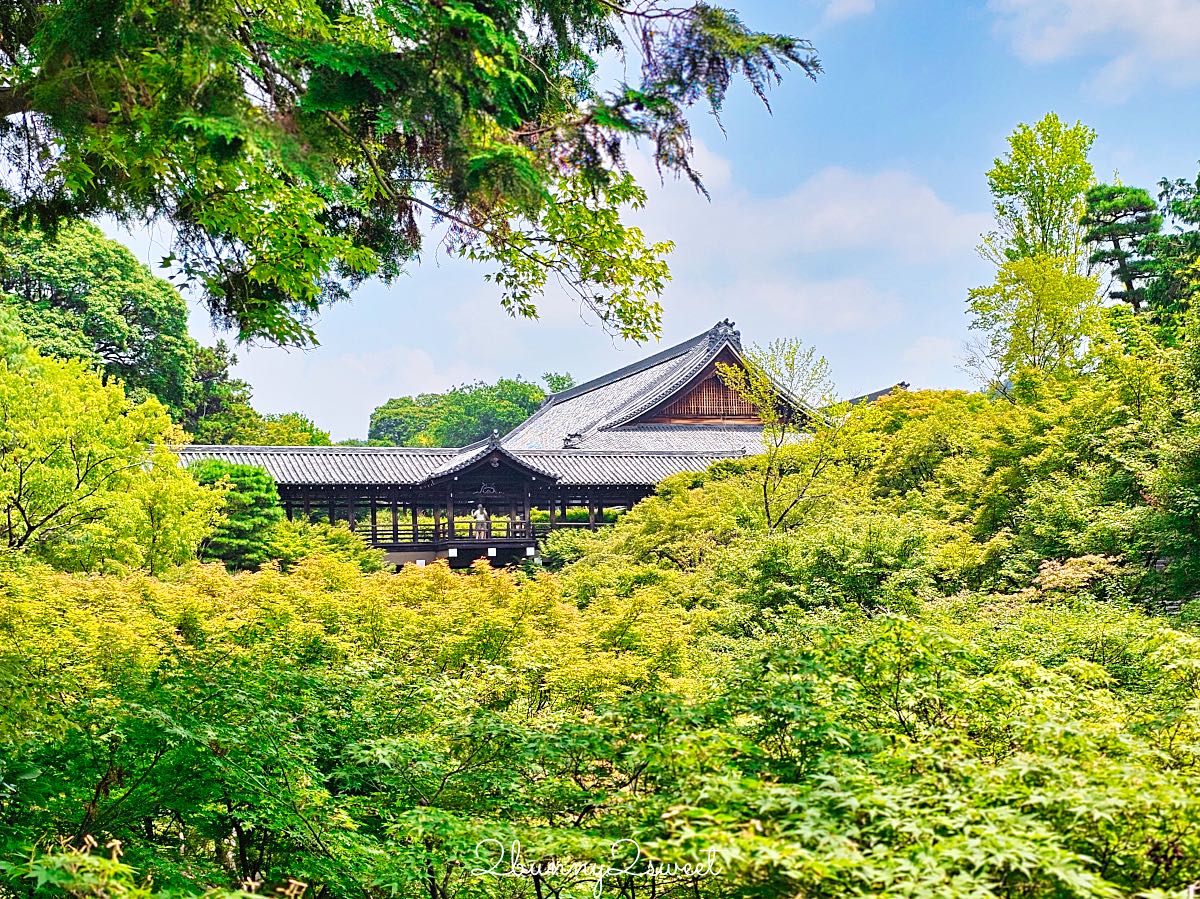 【東福寺】京都賞楓名所！通天橋紅葉、本坊庭園、門票交通完整攻略 @兔兒毛毛姊妹花