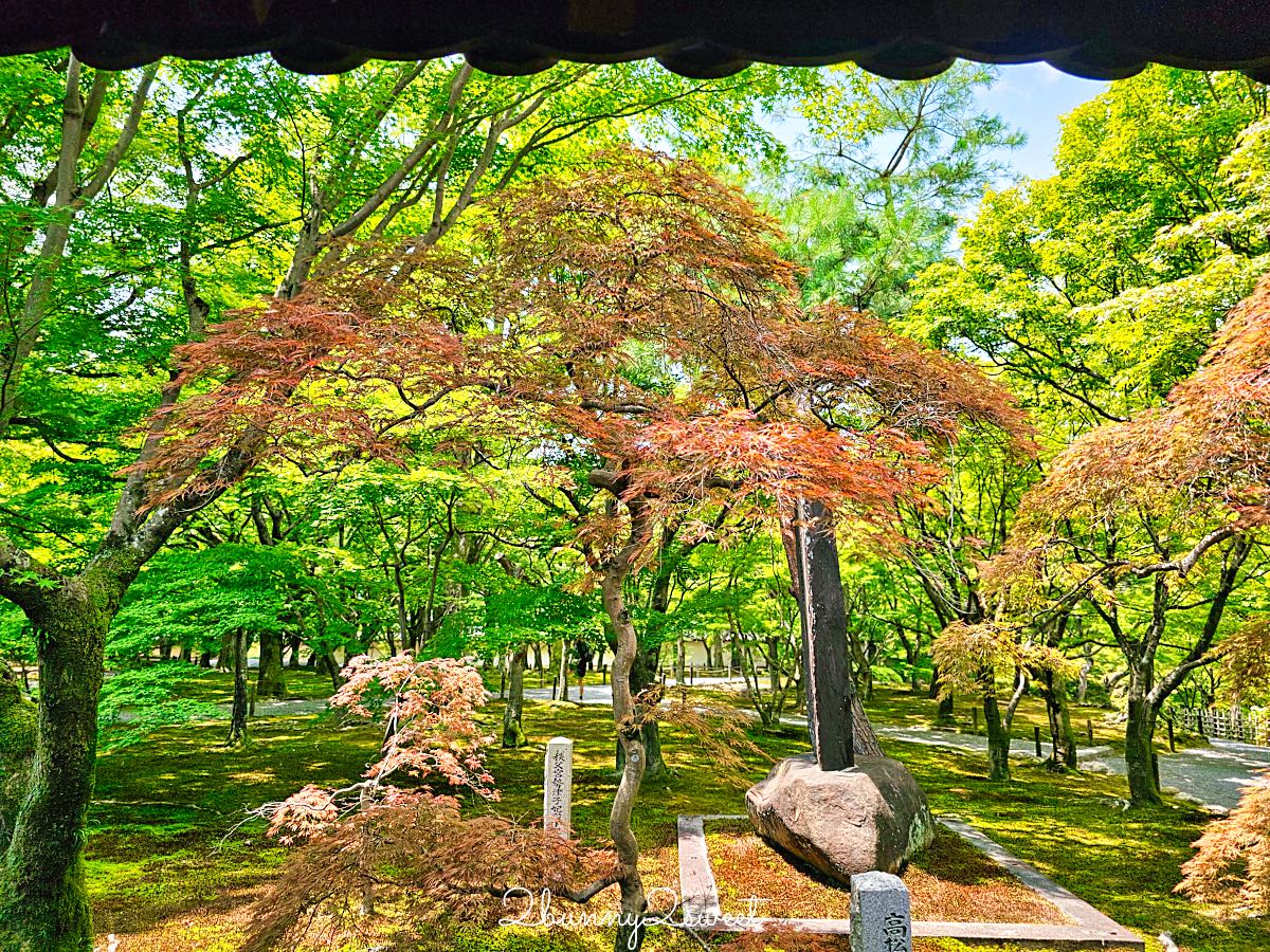 【東福寺】京都賞楓名所！通天橋紅葉、本坊庭園、門票交通完整攻略 @兔兒毛毛姊妹花