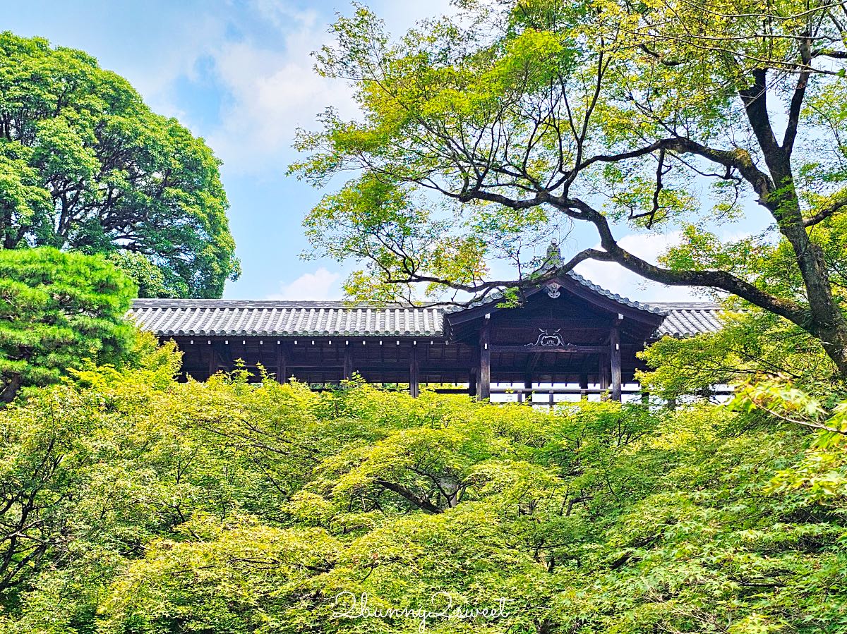 【東福寺】京都賞楓名所！通天橋紅葉、本坊庭園、門票交通完整攻略 @兔兒毛毛姊妹花