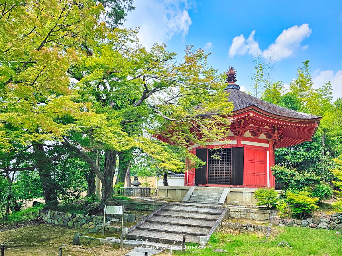 【東福寺】京都賞楓名所！通天橋紅葉、本坊庭園、門票交通完整攻略 @兔兒毛毛姊妹花