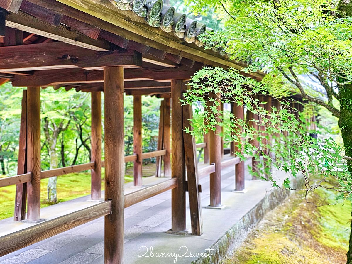 【東福寺】京都賞楓名所！通天橋紅葉、本坊庭園、門票交通完整攻略 @兔兒毛毛姊妹花