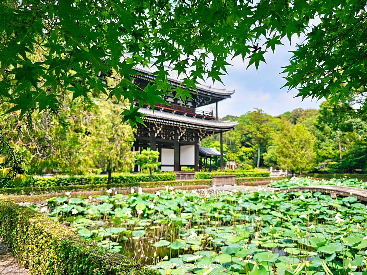 【東福寺】京都賞楓名所！通天橋紅葉、本坊庭園、門票交通完整攻略 @兔兒毛毛姊妹花