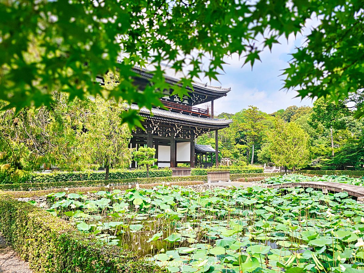 【東福寺】京都賞楓名所！通天橋紅葉、本坊庭園、門票交通完整攻略 @兔兒毛毛姊妹花
