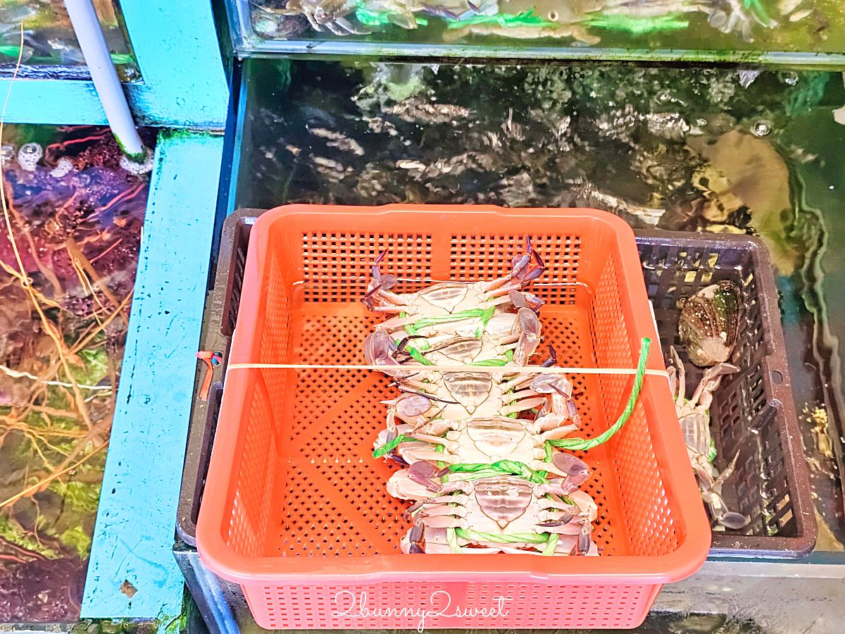 【楓味萬里蟹】萬里海鮮餐廳推薦,現挑活蟹、清蒸海鮮,翡翠灣美食菜單價錢 @兔兒毛毛姊妹花 【楓味萬里蟹】萬里海鮮餐廳推薦,現挑活蟹、清蒸海鮮,翡翠灣美食菜單價錢 @兔兒毛毛姊妹花